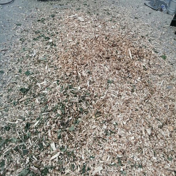 樹(shù)枝粉碎機(jī)粉碎效果-桐木粉碎