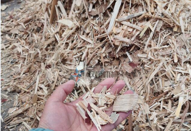 建筑模版破碎機(jī)|綜合木材破碎機(jī)現(xiàn)場視頻
